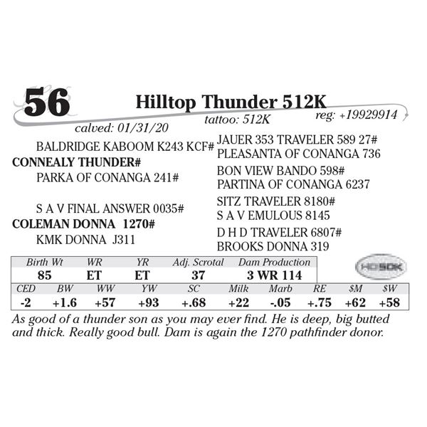 Hilltop Thunder 512K