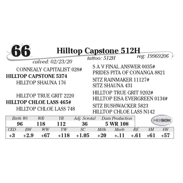 Hilltop Capstone 512H