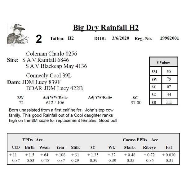 Big Dry Rainfall H2