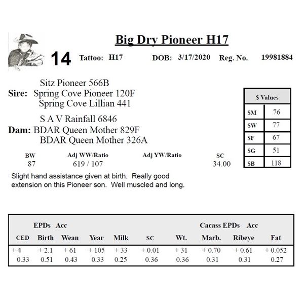 Big Dry Pioneer H17