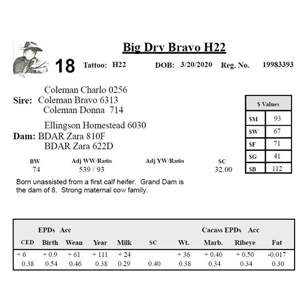 Big Dry Bravo H22