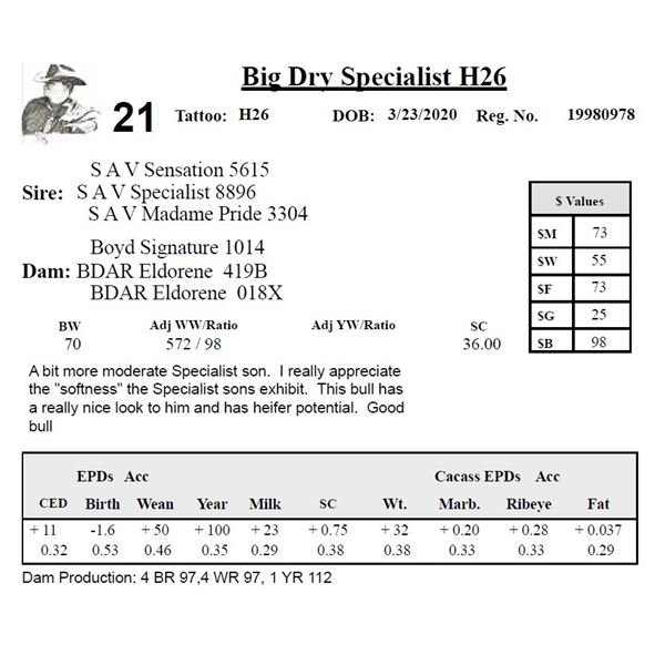 Big Dry Specialist H26