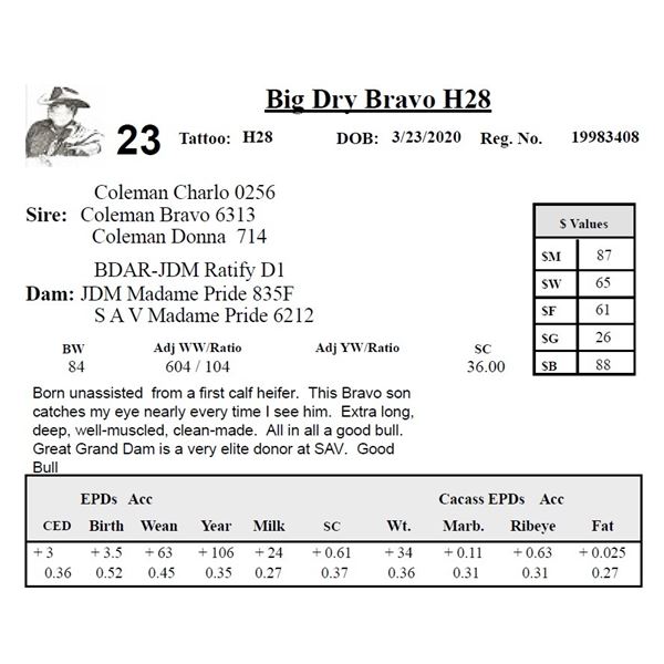 Big Dry Bravo H28