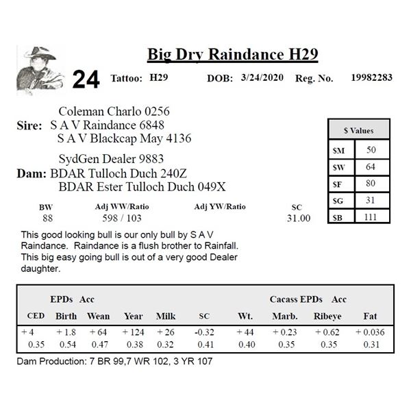 Big Dry Raindance H29