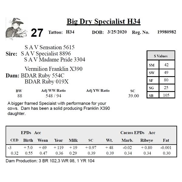 Big Dry Specialist H34