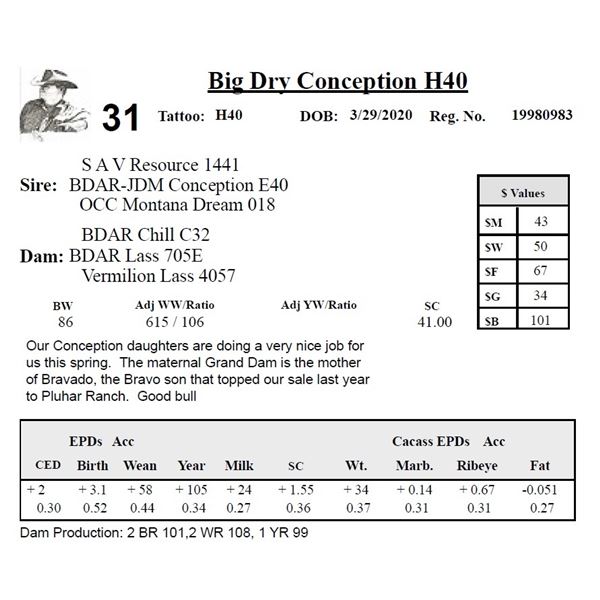 Big Dry Conception H40