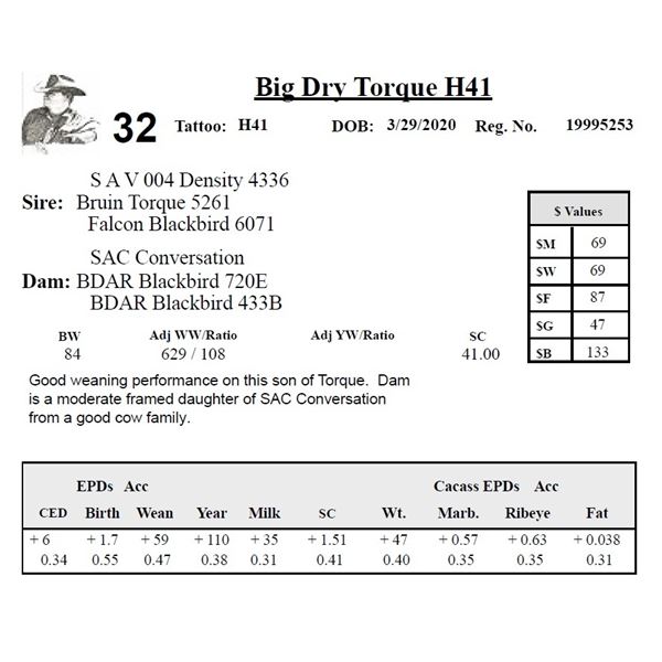 Big Dry Torque H41