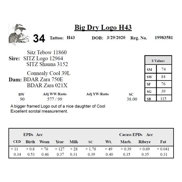 Big Dry Logo H43