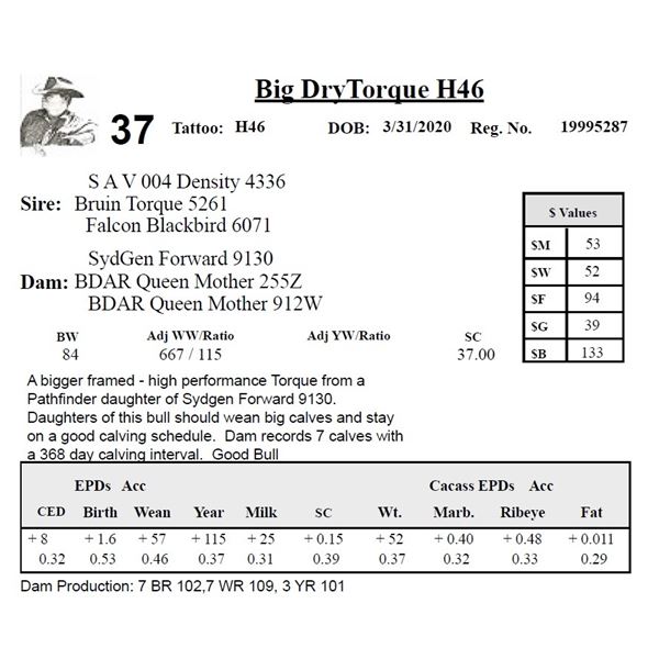 Big DryTorque H46