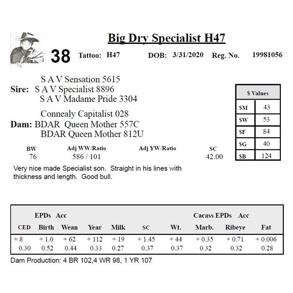 Big Dry Specialist H47