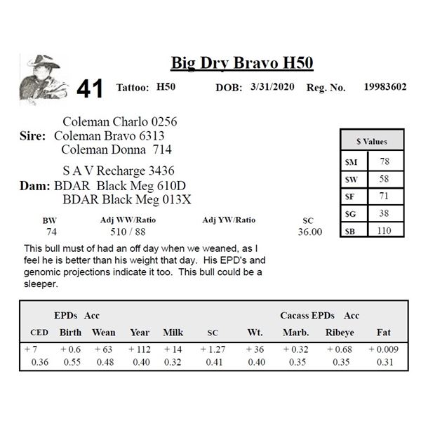 Big Dry Bravo H50