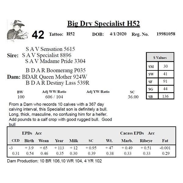 Big Dry Specialist H52