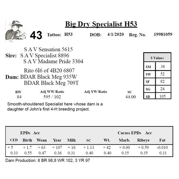 Big Dry Specialist H53