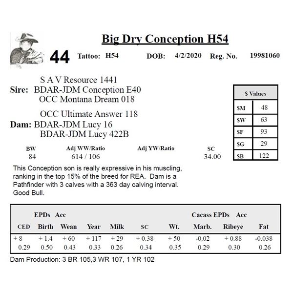 Big Dry Conception H54