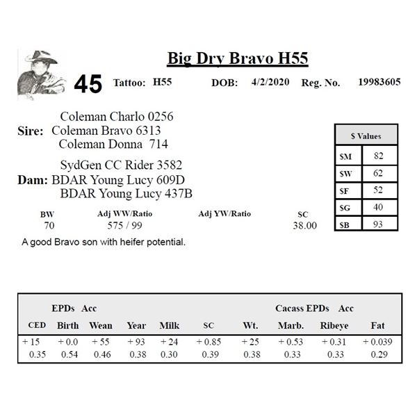 Big Dry Bravo H55
