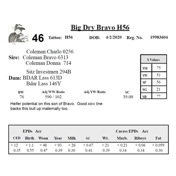 Big Dry Bravo H56