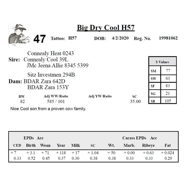 Big Dry Cool H57