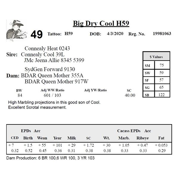 Big Dry Cool H59