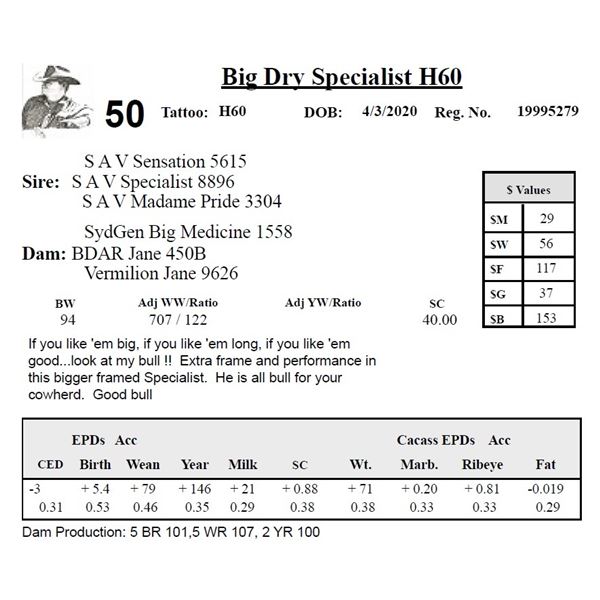 Big Dry Specialist H60