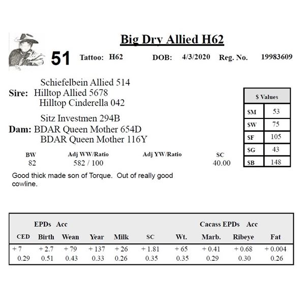 Big Dry Allied H62