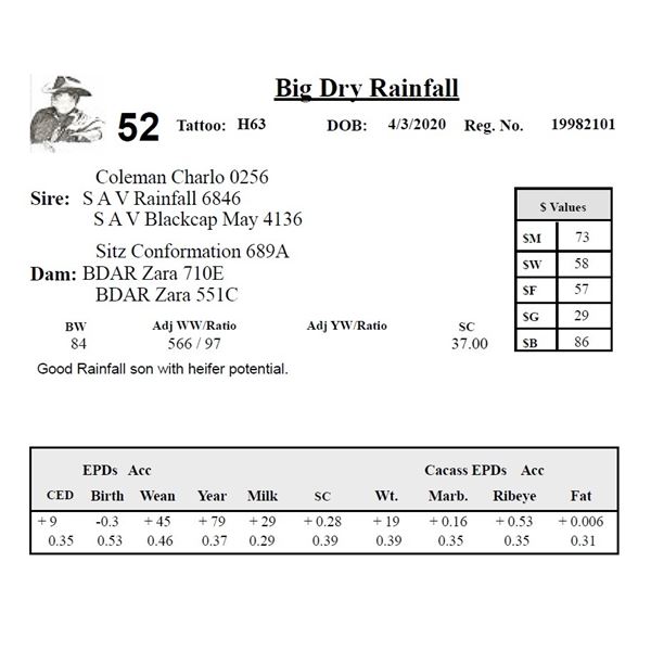 Big Dry Rainfall