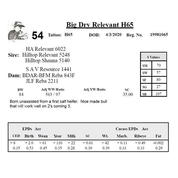 Big Dry Relevant H65
