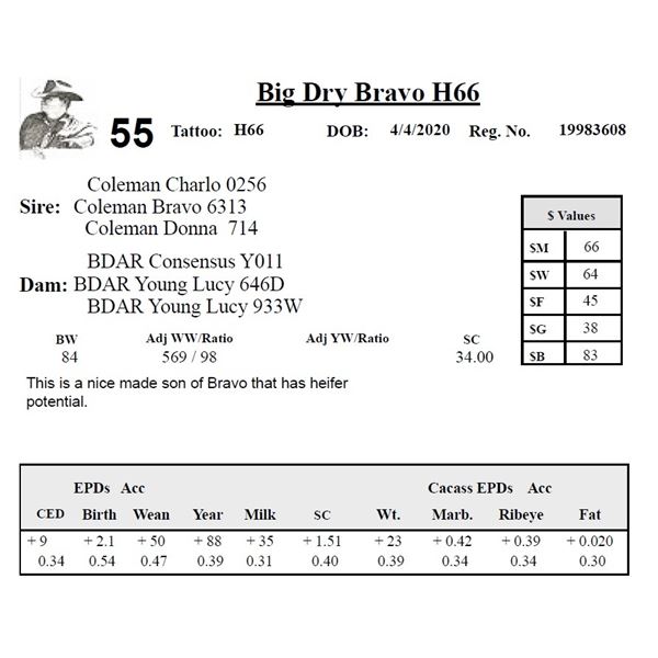 Big Dry Bravo H66
