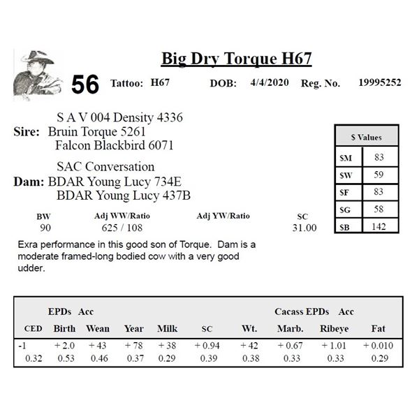 Big Dry Torque H67