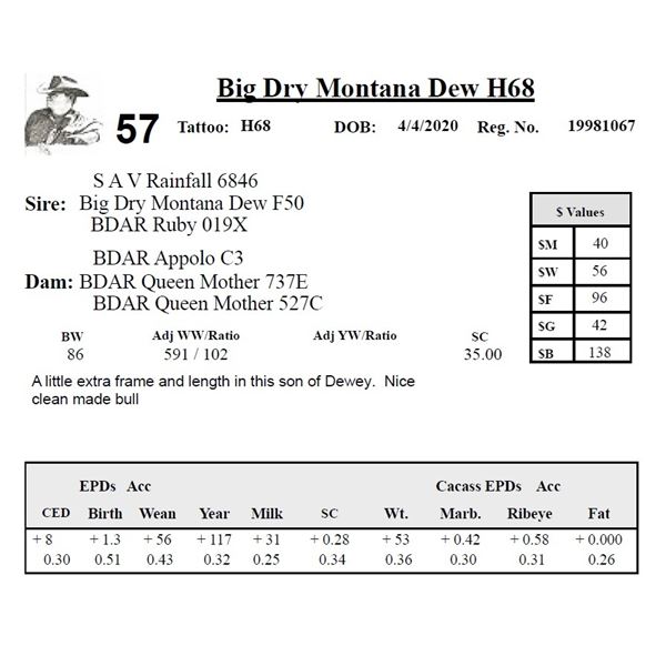 Big Dry Montana Dew H68