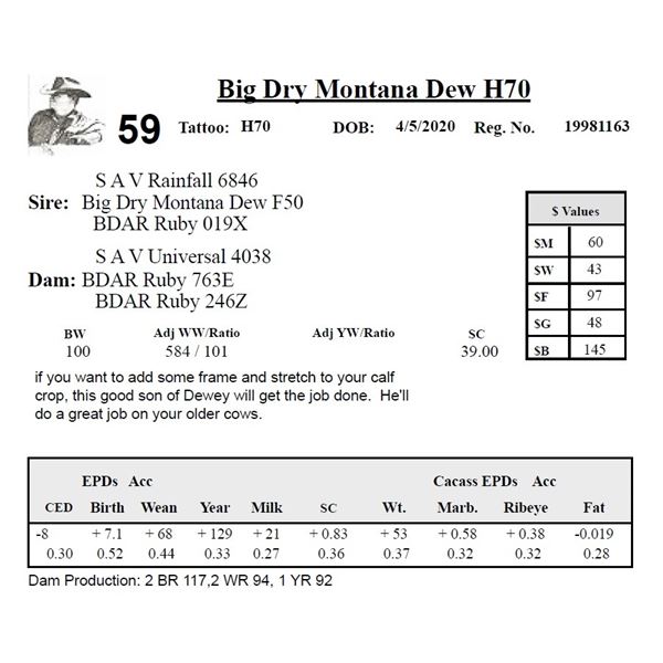Big Dry Montana Dew H70