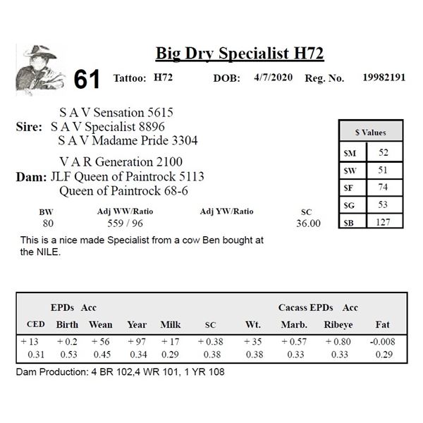 Big Dry Specialist H72