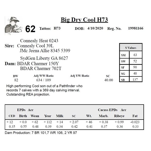 Big Dry Cool H73