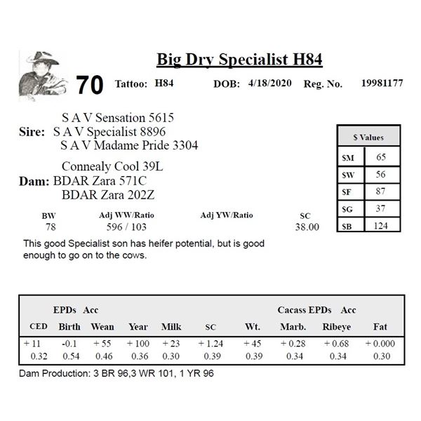 Big Dry Specialist H84