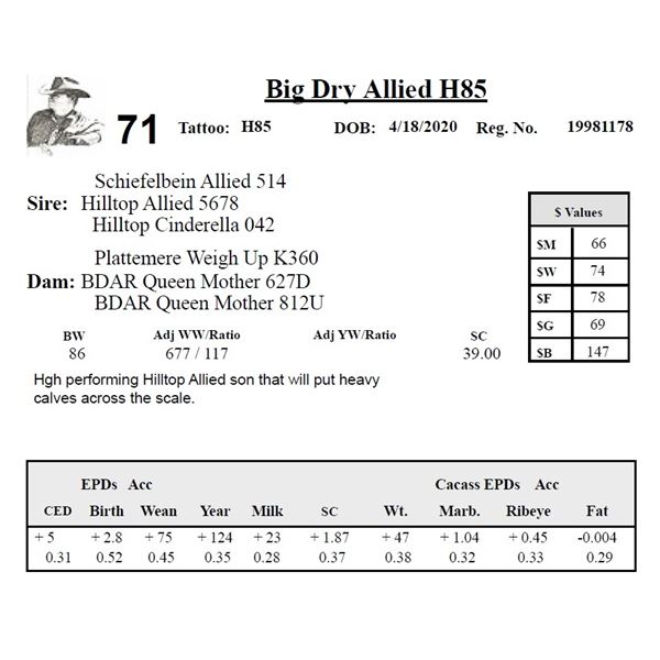 Big Dry Allied H85
