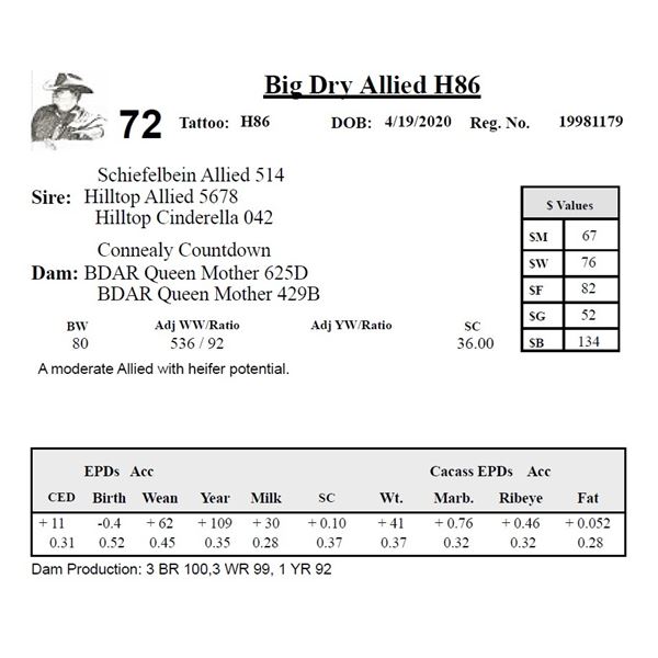 Big Dry Allied H86