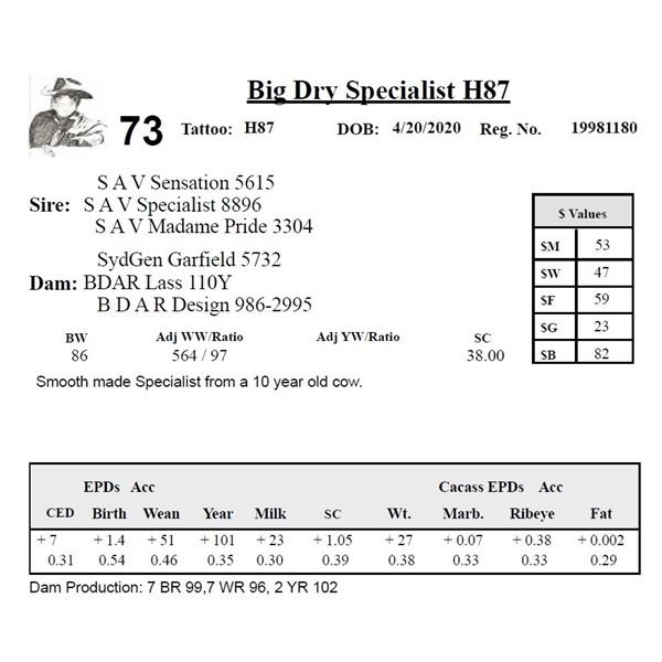 Big Dry Specialist H87