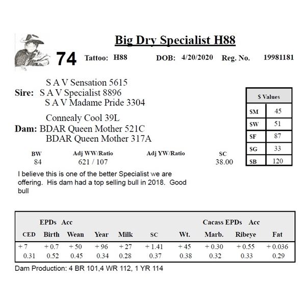 Big Dry Specialist H88