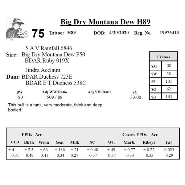 Big Dry Montana Dew H89