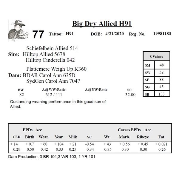 Big Dry Allied H91