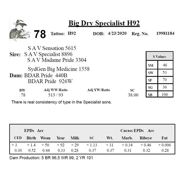 Big Dry Specialist H92