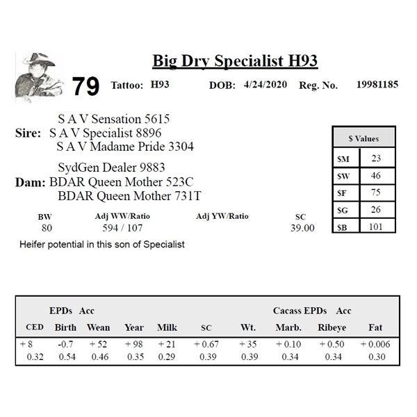 Big Dry Specialist H93