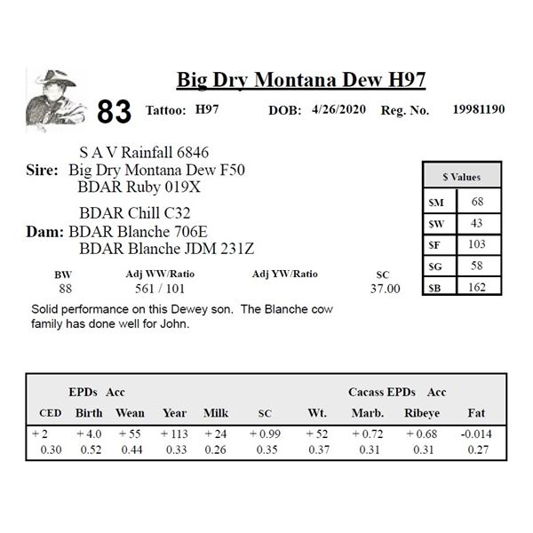 Big Dry Montana Dew H97