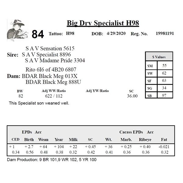 Big Dry Specialist H98
