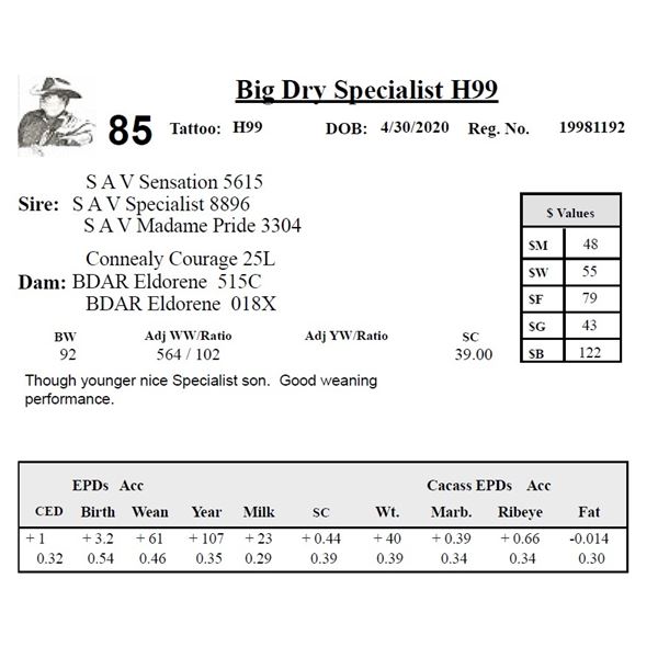 Big Dry Specialist H99