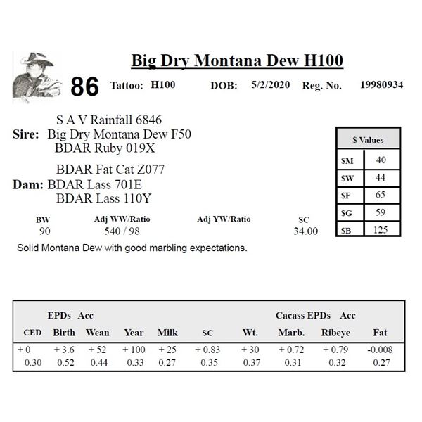 Big Dry Montana Dew H100