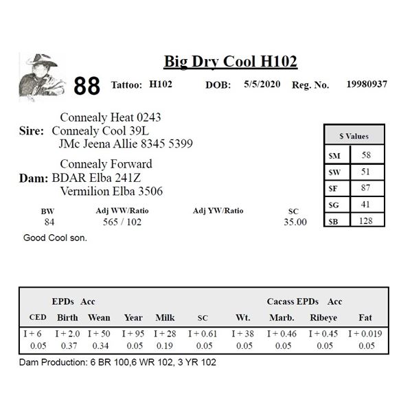 Big Dry Black Velvet H102