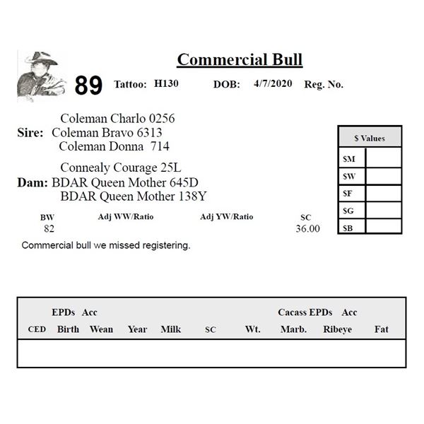 Commercial Bull H130