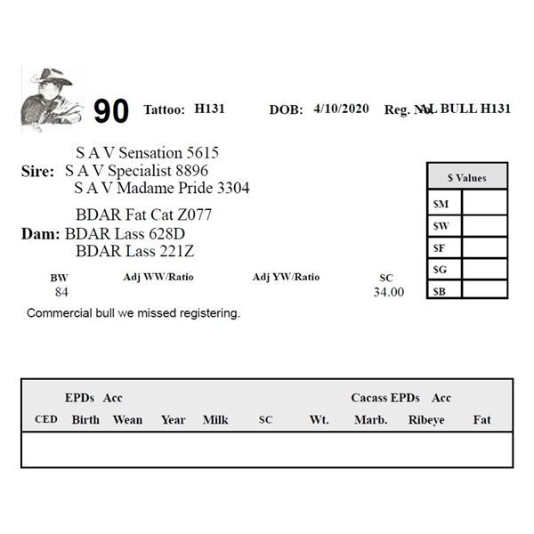 Commercial Bull H131