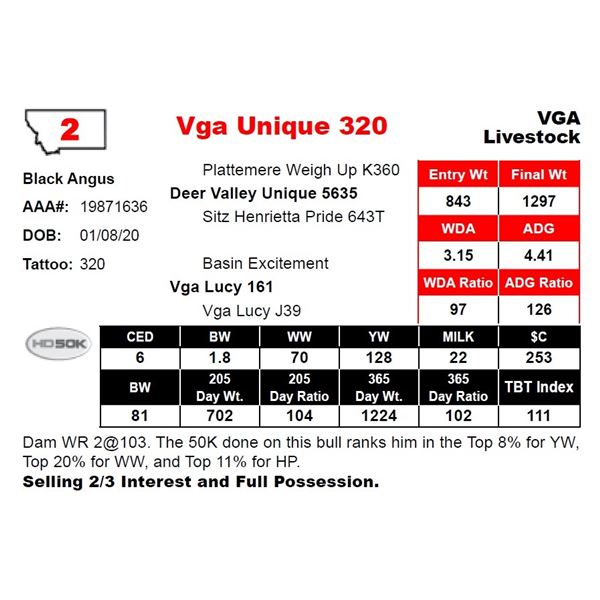 Vga Unique 320