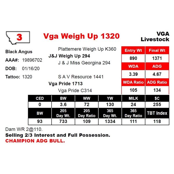Vga Weigh Up 1320